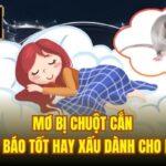 Mơ Bị Chuột Cắn – Điềm Báo Tốt Hay Xấu Dành Cho Bạn?